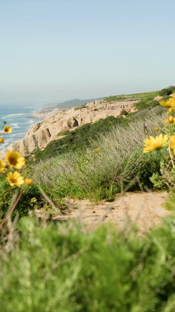 Elevated view of the cliffs, the ocean and the beach at Black’s Beach, with people walking.