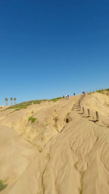 Low aerial view of the cliffs, palm trees and open country at Black’s Beach, with people walking.