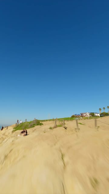 Low aerial view of the cliffs, palm trees and homes at Black’s Beach, with people walking.
