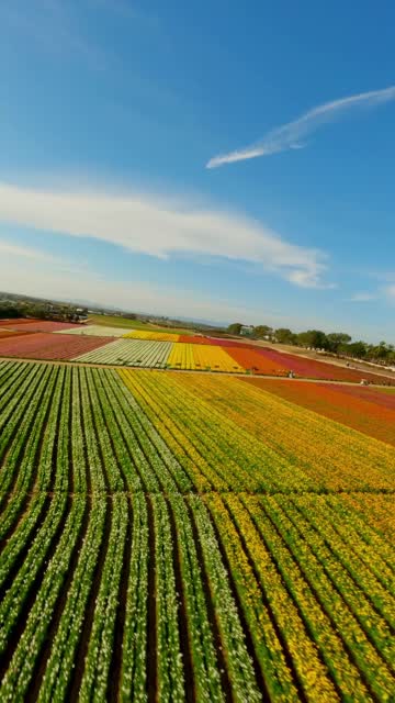 Aerial view of the country inland and open country at Flower Fields.