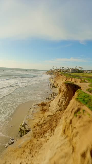 Low aerial view of the cliffs, the surf and palm trees in Carlsbad.