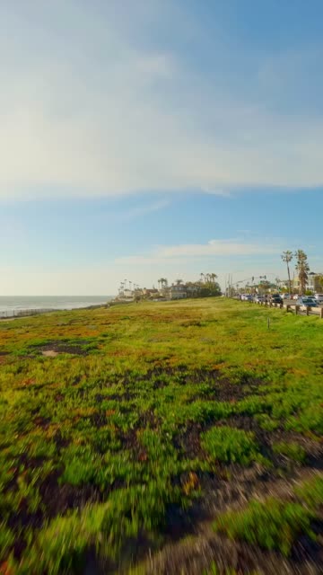 Low aerial view of the cliffs, palm trees and the ocean in Carlsbad.