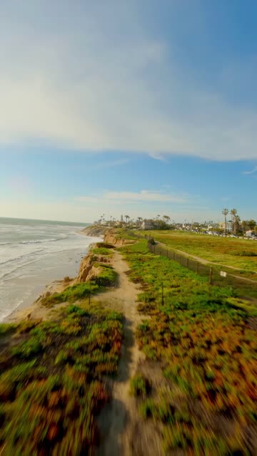 Low aerial view of the cliffs, palm trees and the ocean in Carlsbad.