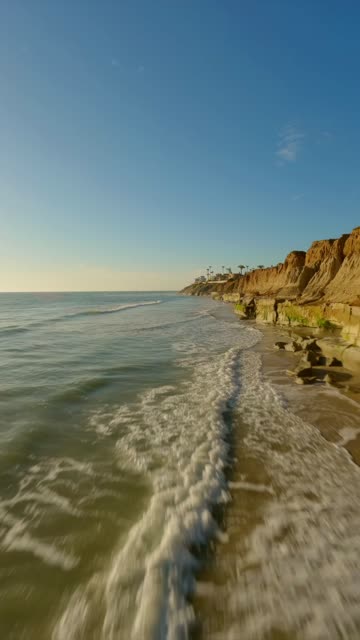 Low aerial view of the beach, the surf and palm trees in Carlsbad.