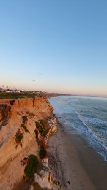 Aerial view of the cliffs, the surf and wildlife in Carlsbad.