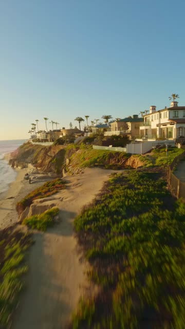 Low aerial view of the cliffs, palm trees and the ocean in Carlsbad.