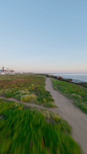 Low aerial view of the cliffs, palm trees and the ocean in Carlsbad, with people walking.