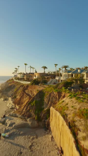 Low aerial view of the cliffs, palm trees and the ocean in Carlsbad.