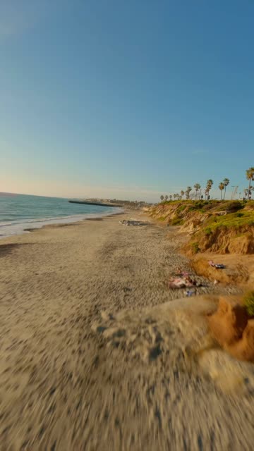 Low aerial view of the beach, palm trees and the ocean in Carlsbad.