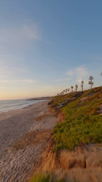 Low aerial view of the beach, the surf and palm trees in Carlsbad.