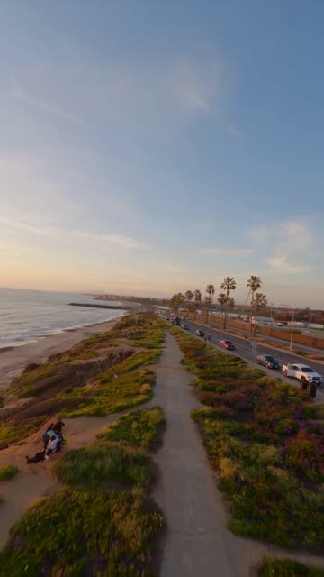 Low aerial view of the beach, palm trees and the ocean in Carlsbad, with people walking.