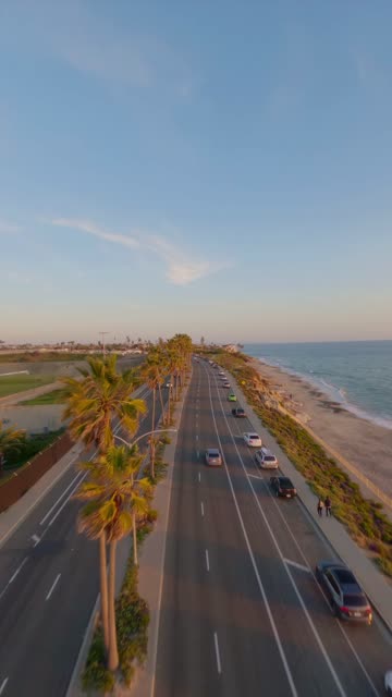 Low aerial view of the beach, palm trees and the ocean in Carlsbad, with people walking.