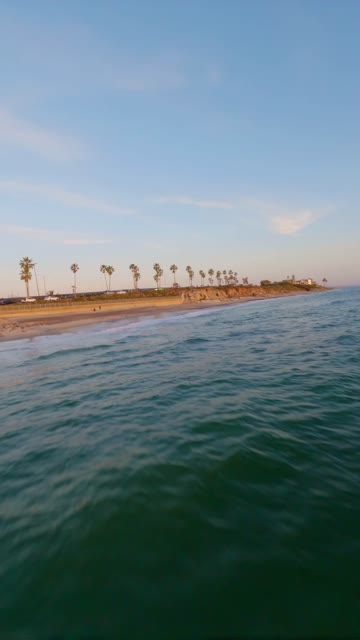 View from the water of the beach, the surf and palm trees in Carlsbad.