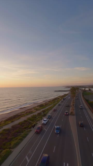 Low aerial view of the beach, palm trees and the ocean in Carlsbad.