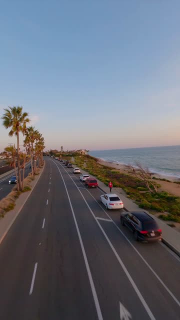 Low aerial view of the beach, palm trees and the ocean in Carlsbad, with people walking.