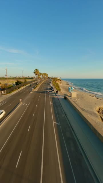 Low aerial view of the beach, the surf and palm trees in Carlsbad, with people walking.