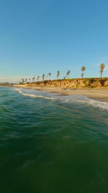 Low aerial view of the beach, the surf and palm trees in Carlsbad.
