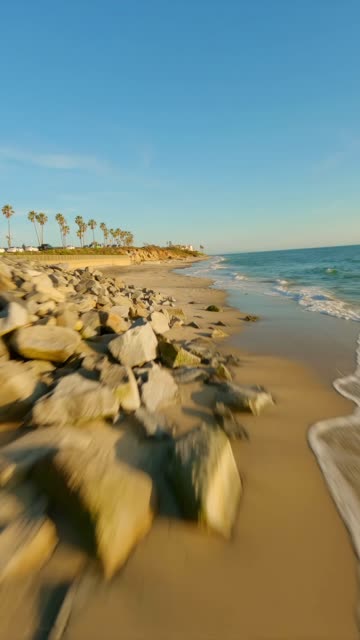 Low aerial view of the beach, the surf and palm trees in Carlsbad.