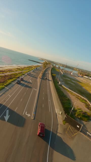 Low aerial view of the beach, palm trees and the ocean in Carlsbad.