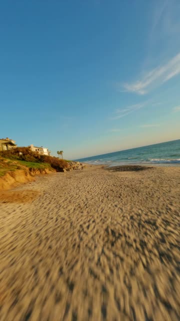 Low aerial view of the beach, palm trees and the ocean in Carlsbad.