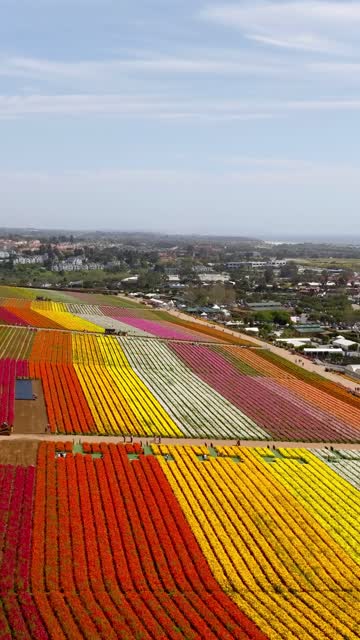 Aerial view of the country inland, homes and open country at Flower Fields, with a work crew on site.