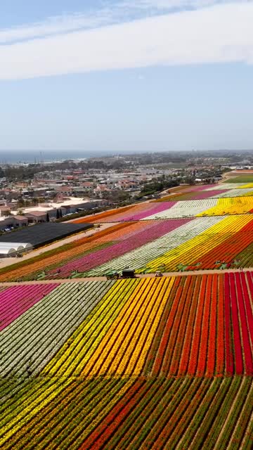 Aerial view of the country inland, the ocean and the city at Flower Fields, with a work crew on site.