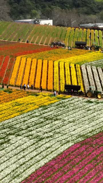 Low aerial view of the country inland, traffic and open country at Flower Fields, with a work crew on site.