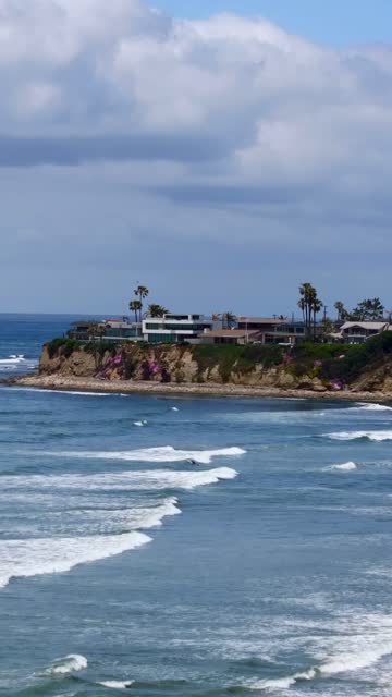 Low aerial view of the cliffs, the surf and palm trees at Tourmaline, with surfers out.