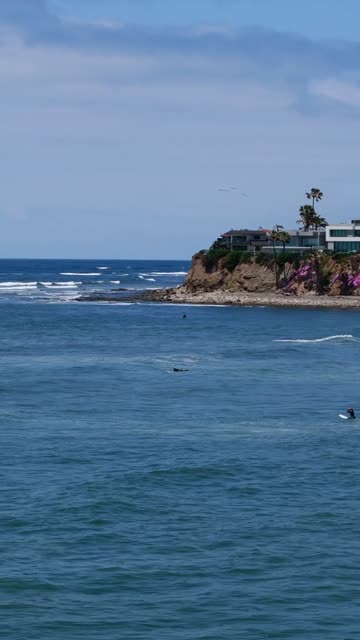 Low aerial view of the cliffs, the surf and palm trees at Tourmaline, with surfers out.