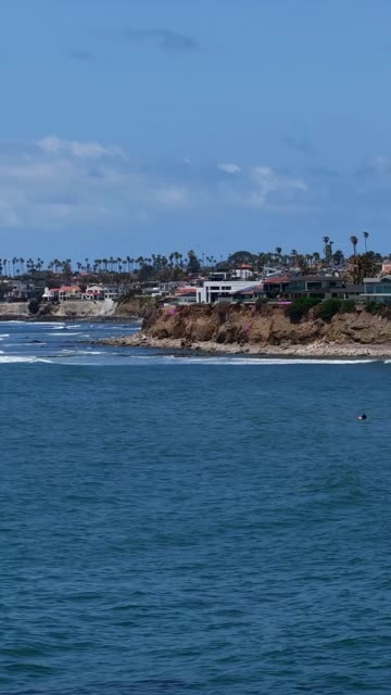 The beach, the surf and palm trees at Tourmaline.