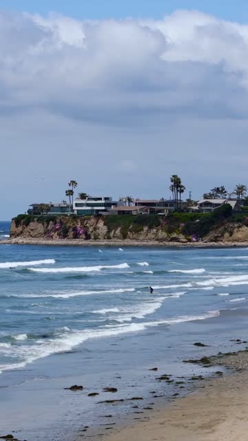 The beach, the surf and palm trees at Tourmaline, with surfers out.