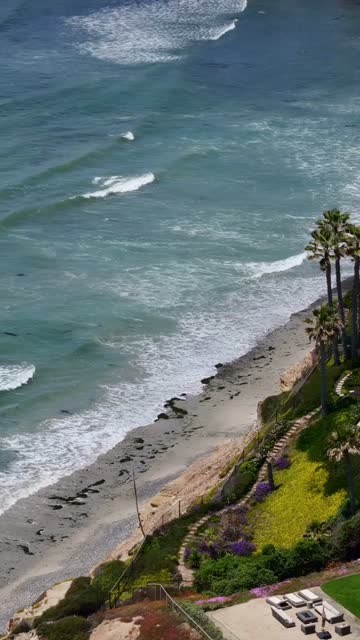 Aerial view of the cliffs, the surf and palm trees at Tourmaline.
