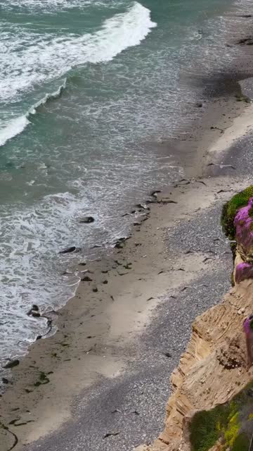 Aerial view of the cliffs, the surf and the ocean at Tourmaline.
