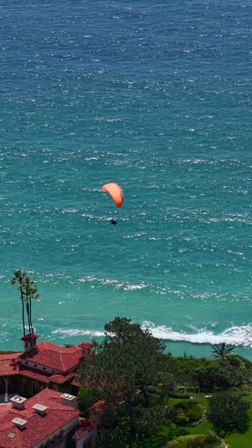 Aerial view of the cliffs, palm trees and the ocean at Black’s Beach, with people walking.