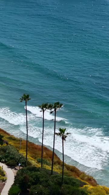 Aerial view of the cliffs, the surf and palm trees at Black’s Beach.