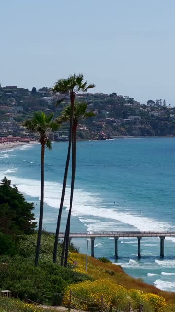 Elevated view of the beach, the surf and the pier at La Jolla Shores.