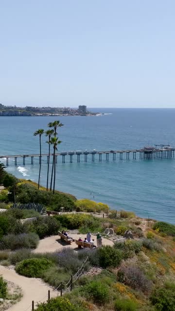 Low aerial view of the cliffs, the surf and the pier at La Jolla Shores.