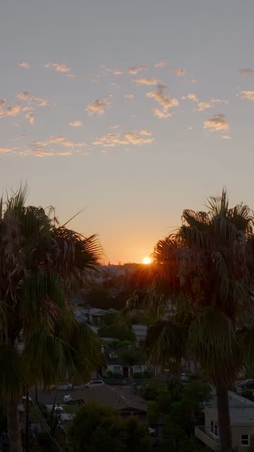 Elevated view of a residential street, palm trees and homes in North Park.