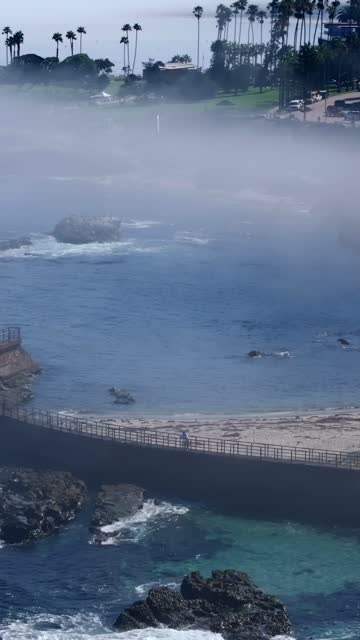Aerial view of the beach, wildlife and palm trees at Village of La Jolla, with people walking.