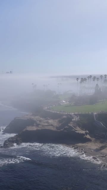 Aerial view of the cliffs, palm trees and the ocean at La Jolla Cove.