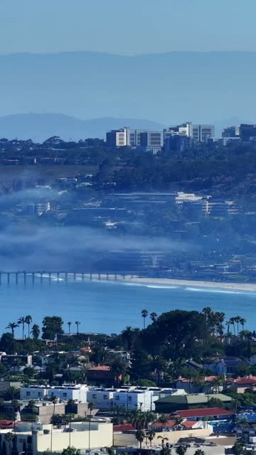 Aerial view of a residential street, the pier and palm trees at La Jolla Cove.