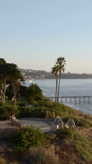 Elevated view of the cliffs, the pier and palm trees at La Jolla Shores.