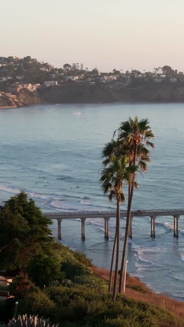 Low aerial view of the beach, the pier and palm trees at La Jolla Shores.