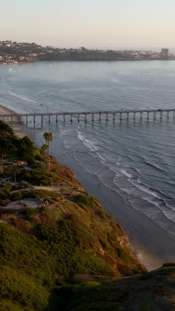 Aerial view of the cliffs, the pier and palm trees at La Jolla Shores, with people walking.