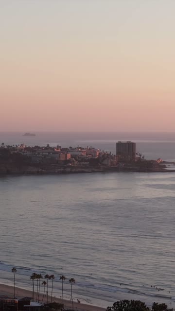 Aerial view of the beach, palm trees and the ocean at La Jolla Shores.