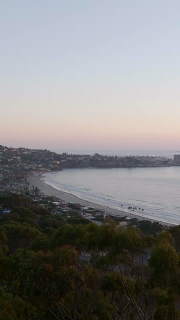 Aerial view of the beach, palm trees and the ocean at La Jolla Shores.