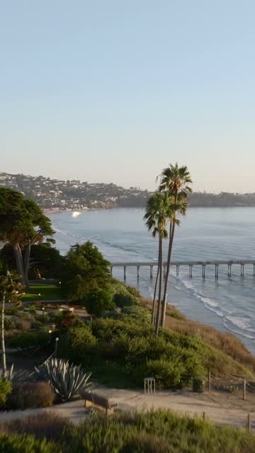 Low aerial view of the cliffs, the pier and palm trees at La Jolla Shores.