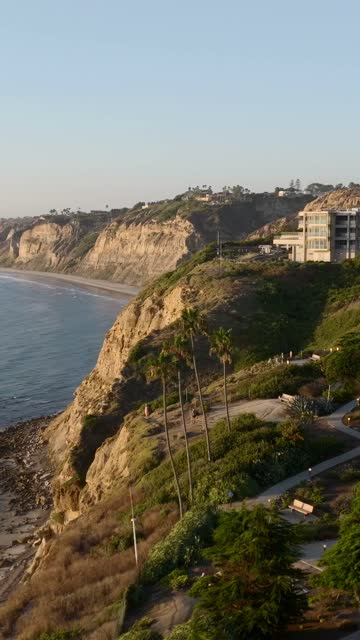 Aerial view of the cliffs, palm trees and the ocean at Black’s Beach.