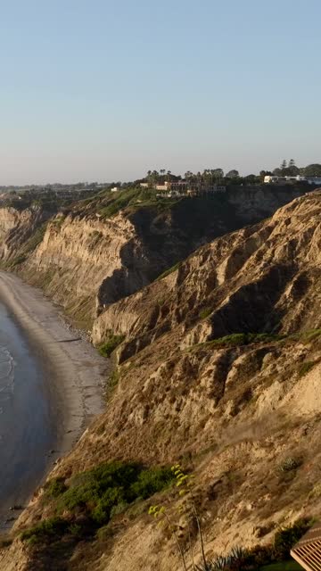 Aerial view of the cliffs, palm trees and the ocean at Black’s Beach.