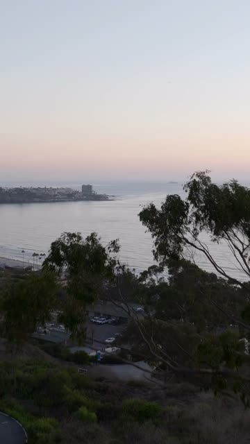 Elevated view of the cliffs, palm trees and the ocean at Black’s Beach.